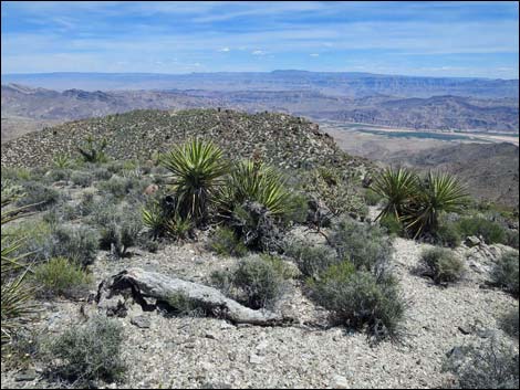 Jumbo Springs Wilderness