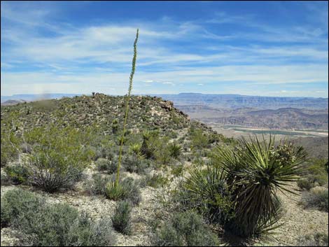 Jumbo Springs Wilderness