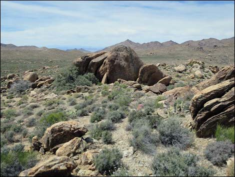 Jumbo Springs Wilderness