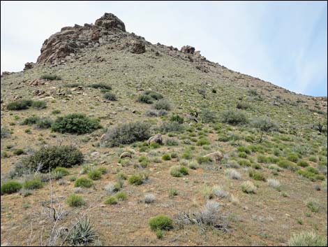 jumbo peak