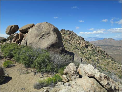 jumbo peak