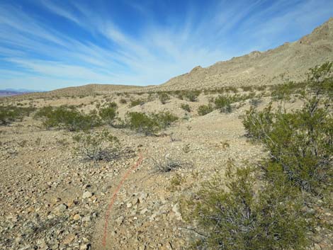 Two Forks Loop