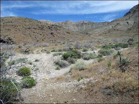 Lincoln Mine Route