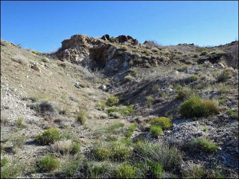 Mica Peak