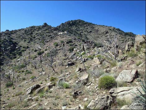 Mica Peak