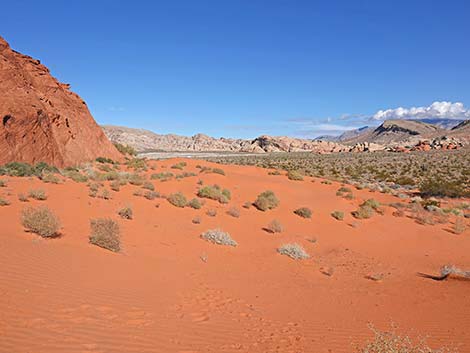 Mud Wash Dunes