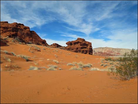 Mud Wash Dunes