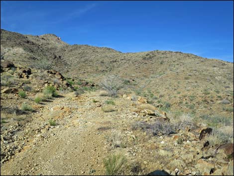 Mud Wash North Road  Nevada Mica Mine Road