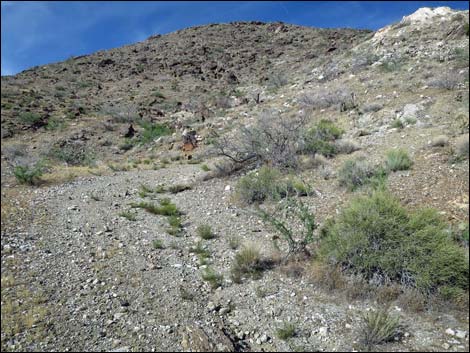 Mud Wash North Road  Nevada Mica Mine Road