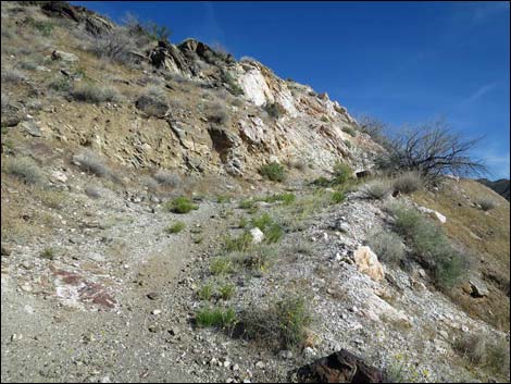 Mud Wash North Road  Nevada Mica Mine Road