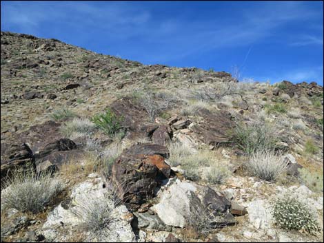 Nevada Mica Mine