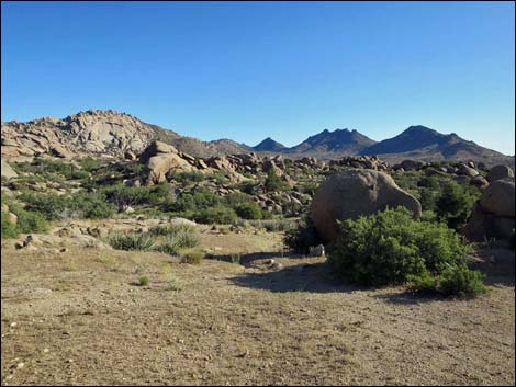 Cedar Basin