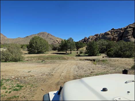 Grapevine Spring Corral