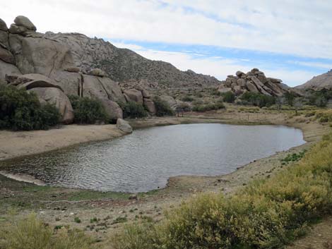 Grapevine Spring Corral