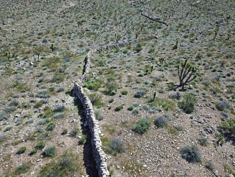 Horse Spring Corral