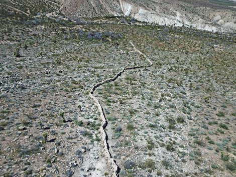 Horse Spring Corral