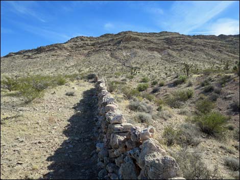 Horse Spring Corral