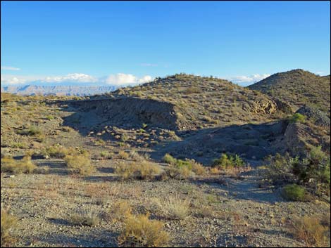 Lakeshore Mine