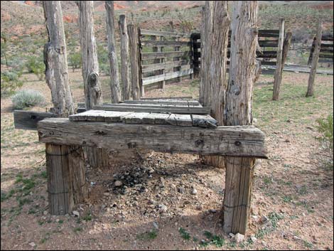 Gold Butte Road Corral