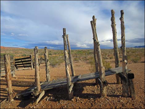 Mud Hills Corral