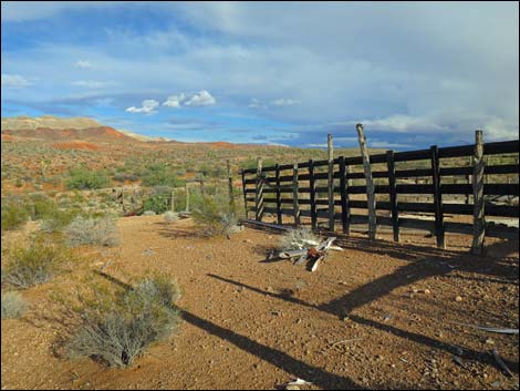 Mud Hills Corral