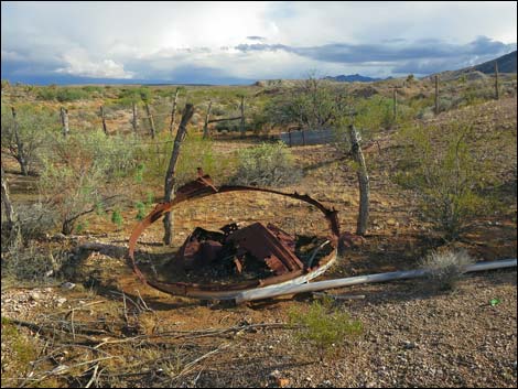 Mud Hills Corral