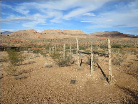 Mud Hills Corral