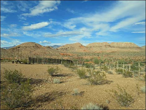 Mud Hills Corral