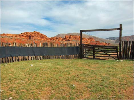 Mud Wash Corral