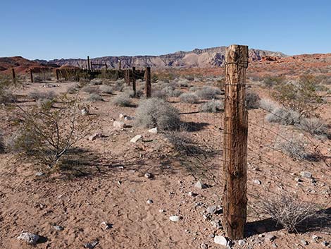 Mud Wash Corral