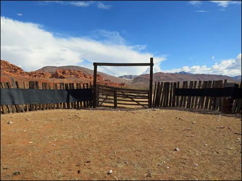 Mud Wash Corral