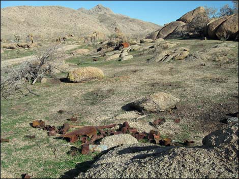 Gold Butte Townsite