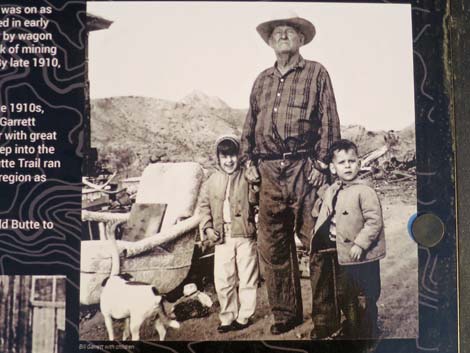 Gold Butte Townsite