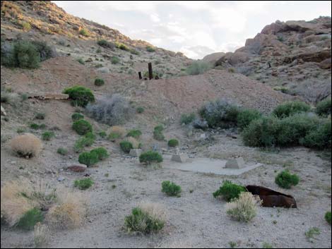 Gold Butte Townsite