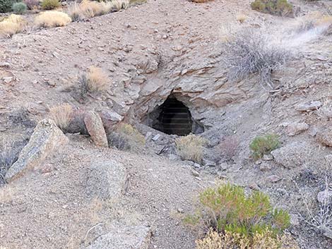 Gold Butte Townsite