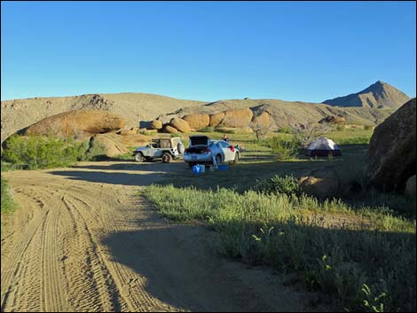 Gold Butte Townsite