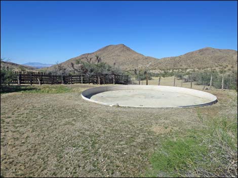 Willow Wash Corral