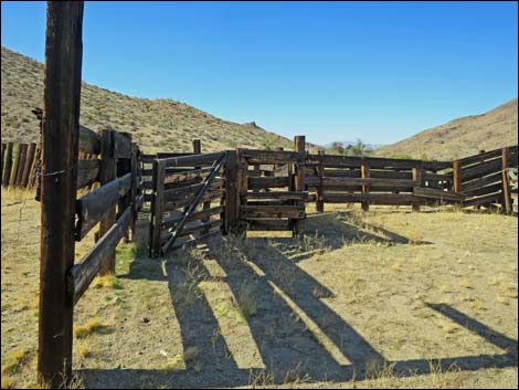 Willow Wash Corral