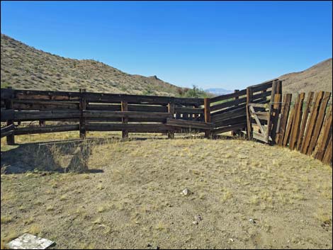 Willow Wash Corral