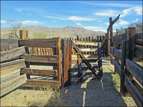 Willow Wash Corral