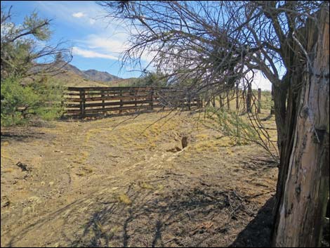 Willow Wash Corral