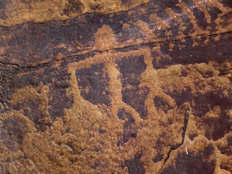 Gold Butte Rock Art