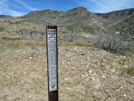 Whitney Wash Loop