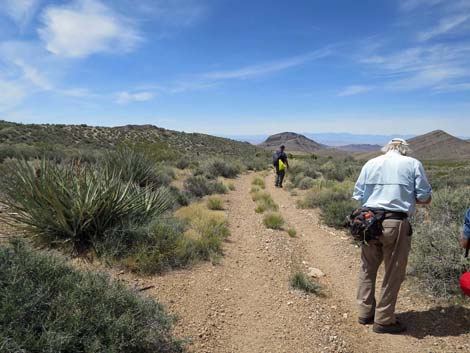 Whitney Wash Loop