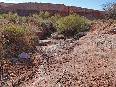 Red Bluff Spring