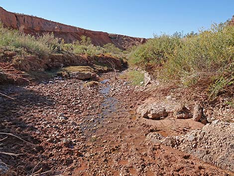 Red Bluff Spring