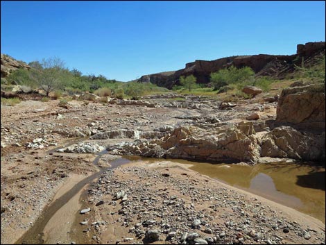 Red Bluff Spring