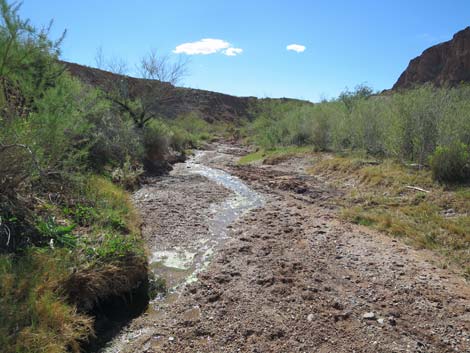 Red Bluff Spring