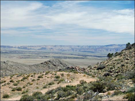 Billy Goat Peak Road