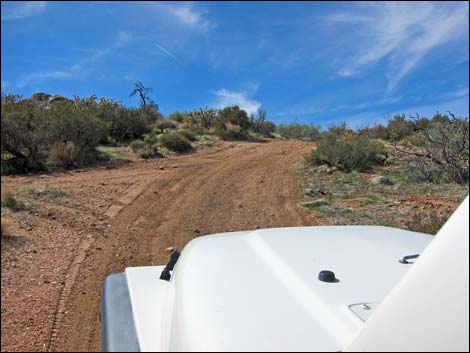 Billy Goat Peak Road